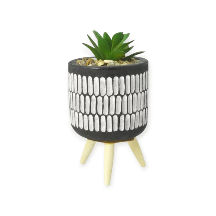 MACETA CERÁMICA CON PLANTA SUCULENTA 12 cm